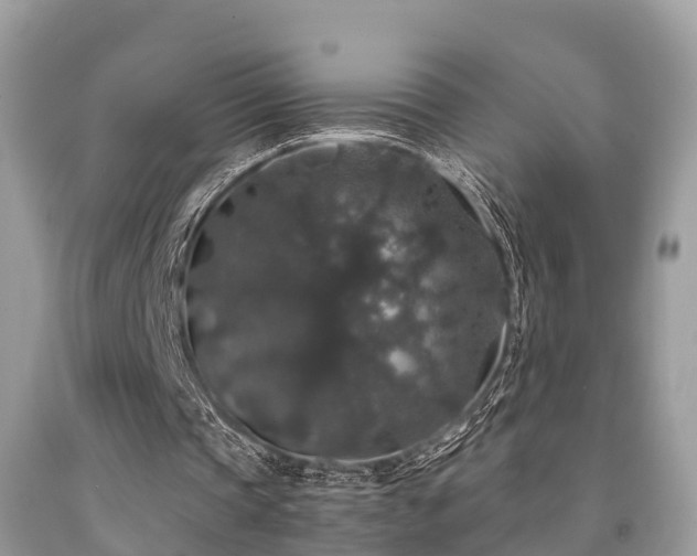 X0000091960337200709061306