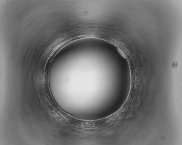 X0000091960338200709061306