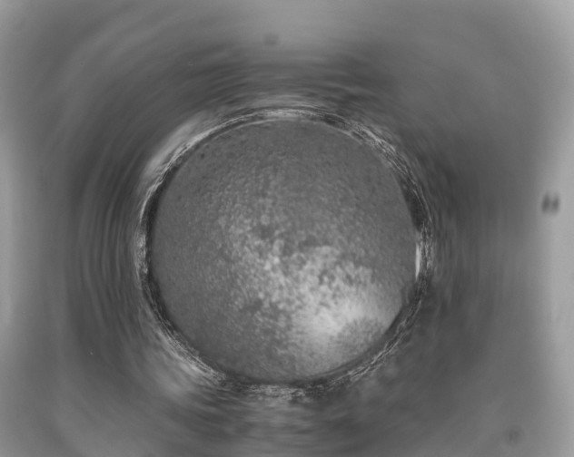 X0000091960339200709061306