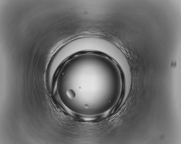 X0000091960340200709061306