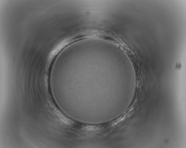 X0000091960341200709061306