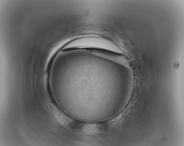 X0000091960342200709061306