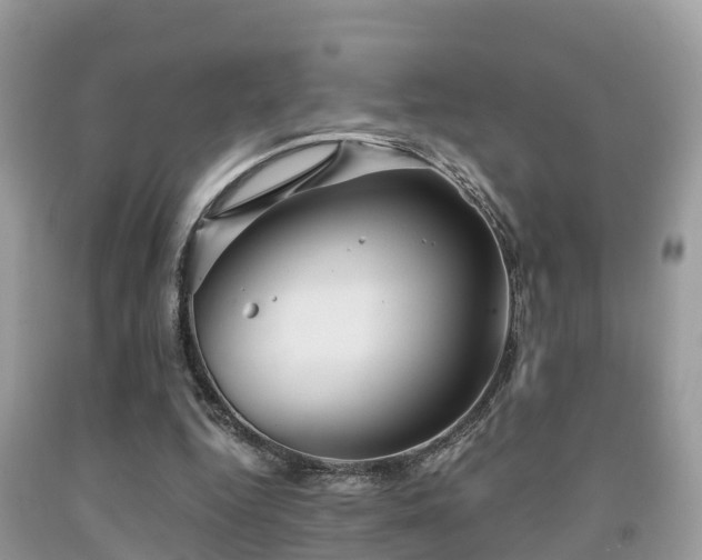 X0000091960344200709061306