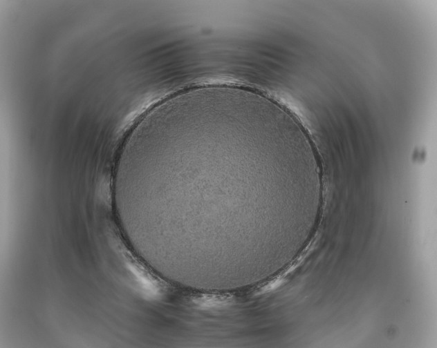 X0000091960345200709061306