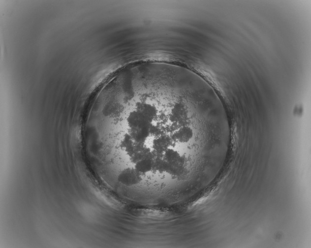 X0000091960347200709061306