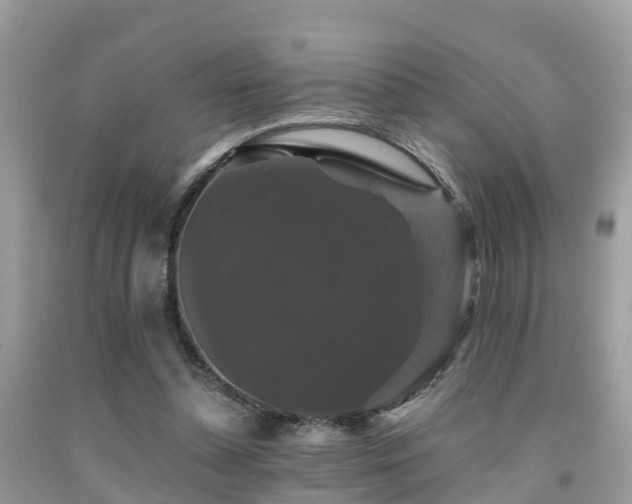 X0000091960348200709061306