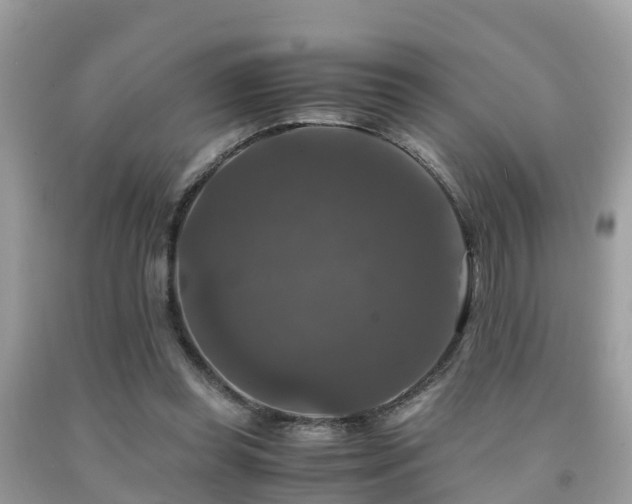 X0000091960349200709061306