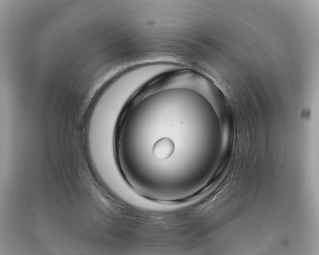 X0000091960350200709061306