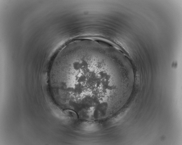 X0000091960351200709061306