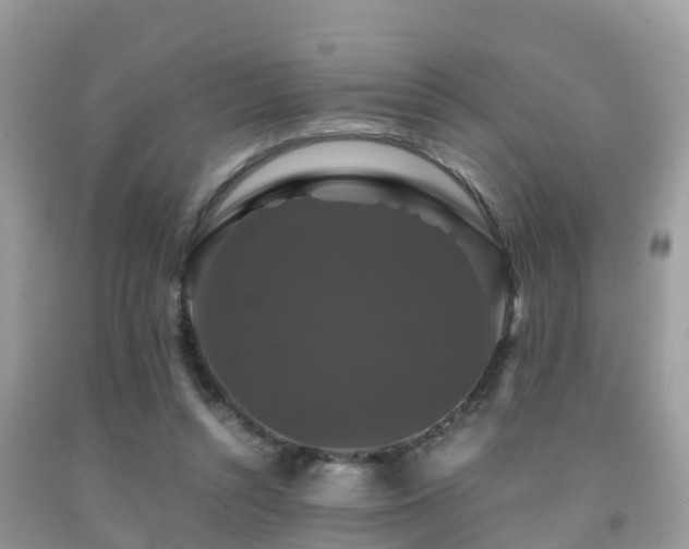 X0000091960352200709061306