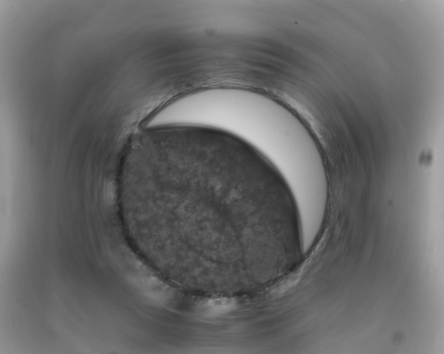 X0000091960353200709061306