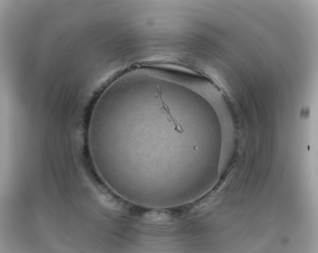 X0000091960354200709061306