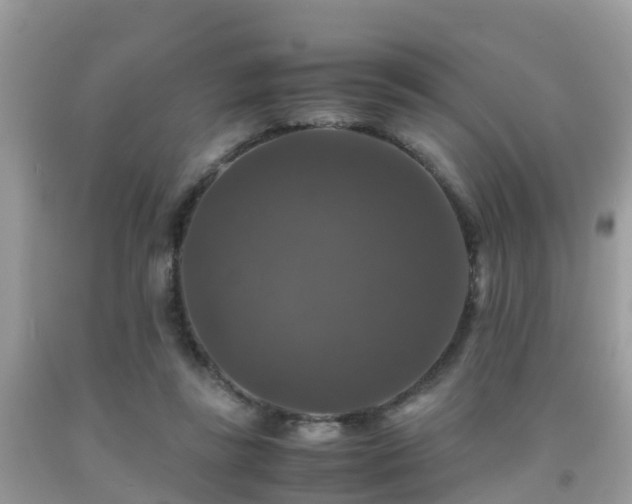 X0000091960355200709061306