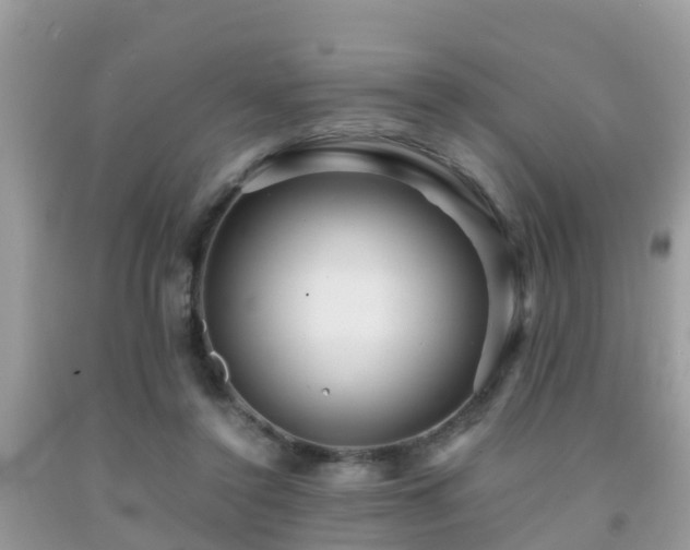 X0000091960356200709061306