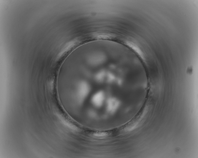 X0000091960357200709061306