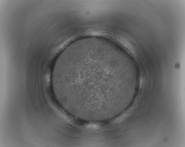 X0000091960358200709061306