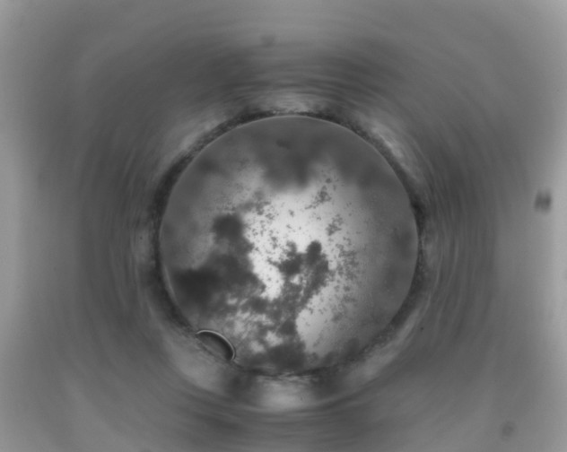 X0000091960359200709061306