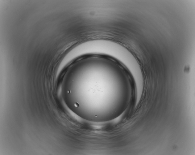 X0000091960360200709061306