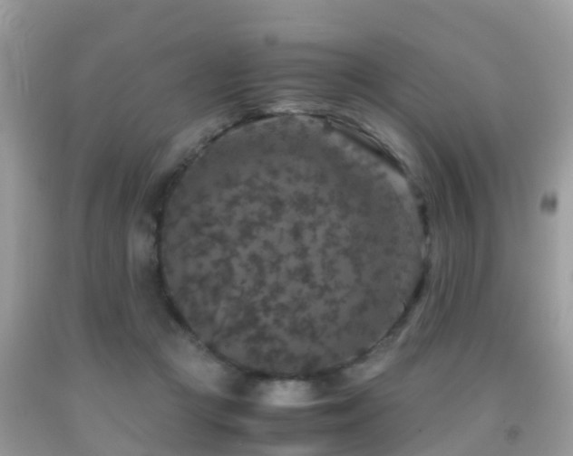 X0000091960361200709061306