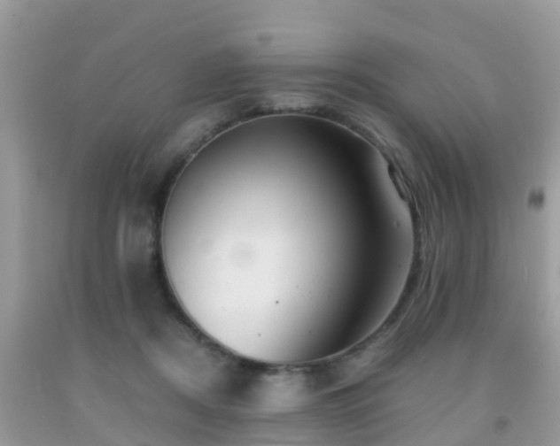 X0000091960362200709061306