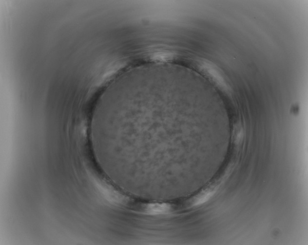 X0000091960363200709061306