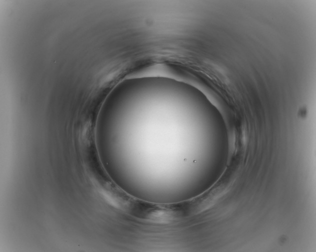 X0000091960364200709061306