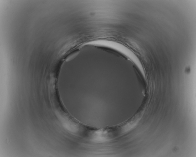 X0000091960366200709061306