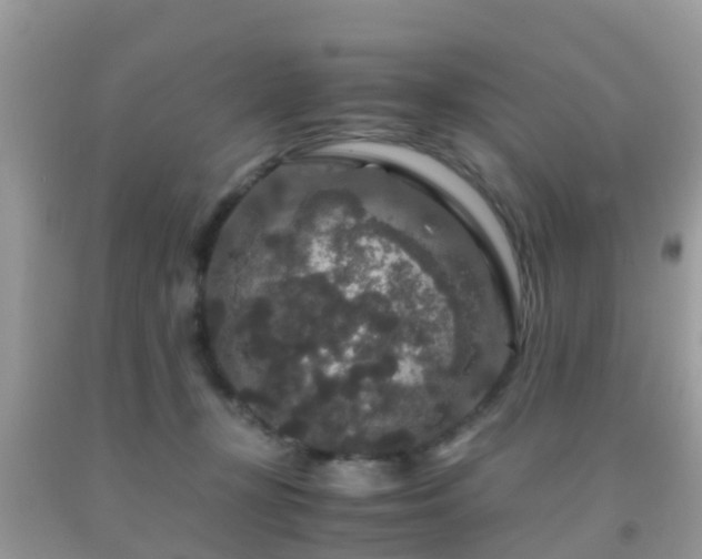 X0000091960367200709061306