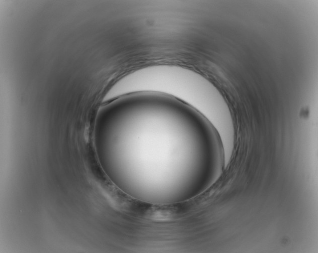 X0000091960368200709061306