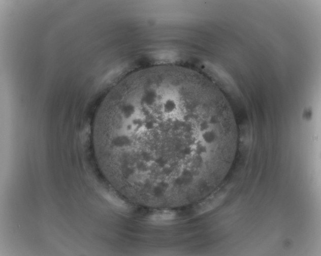 X0000091960369200709061306