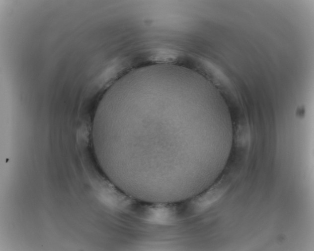 X0000091960370200709061306