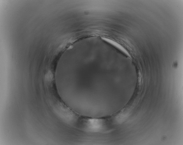 X0000091960371200709061306