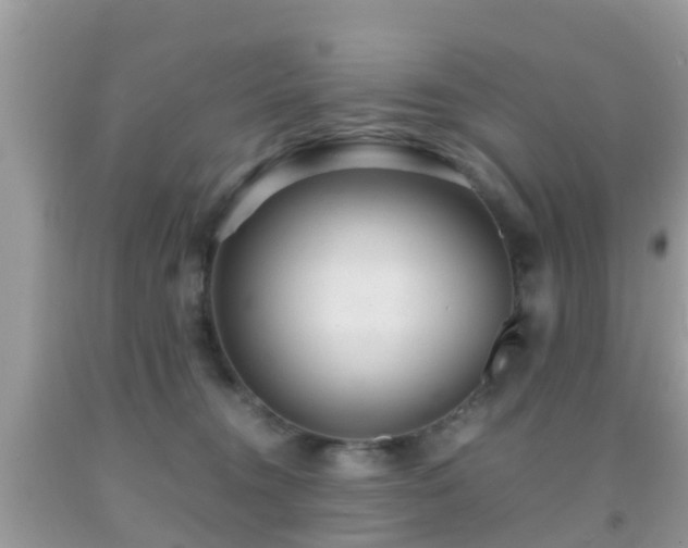 X0000091960372200709061306