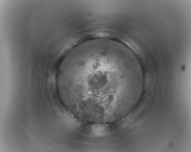 X0000091960373200709061306