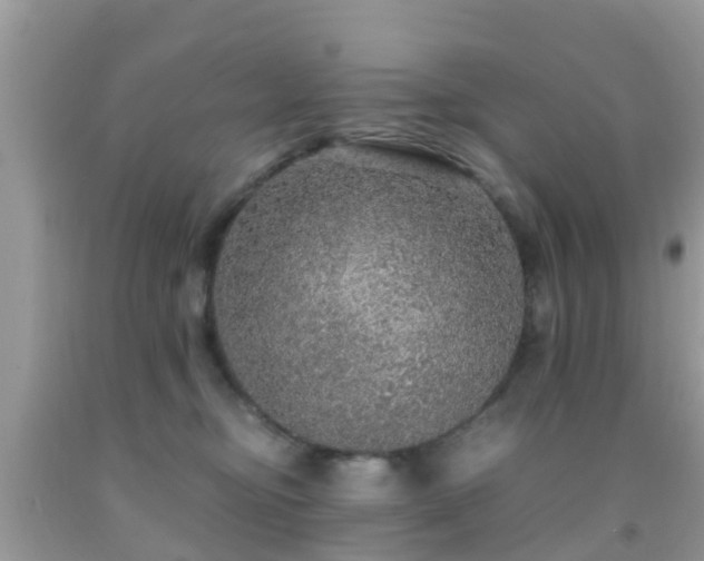 X0000091960374200709061306