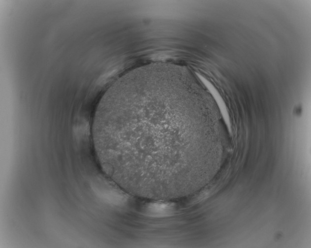 X0000091960375200709061306