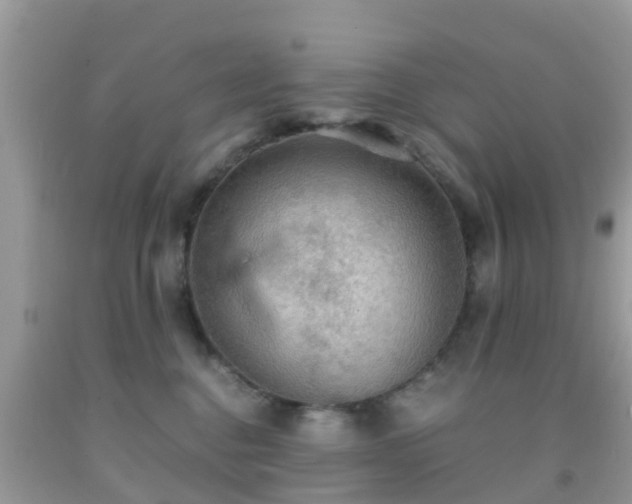 X0000091960376200709061306