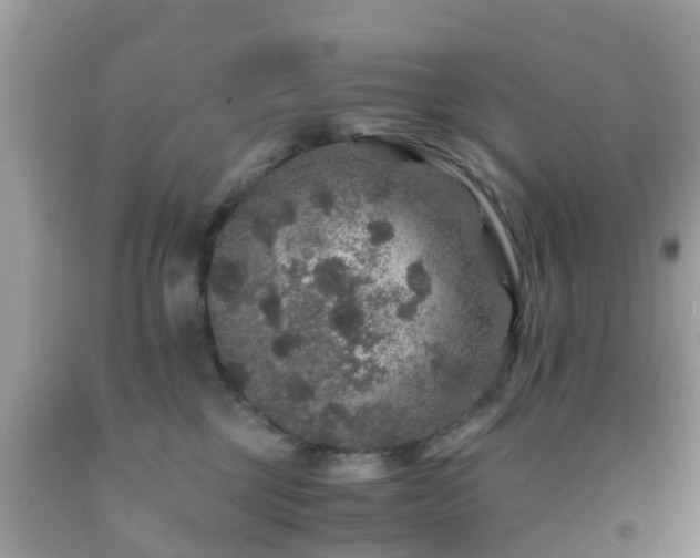 X0000091960377200709061306