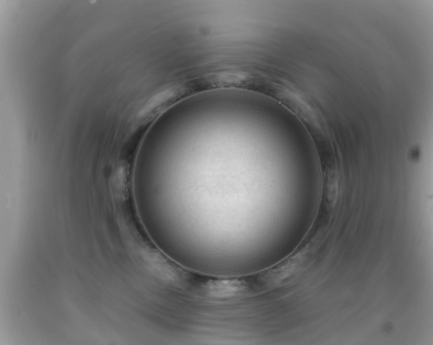 X0000091960378200709061306