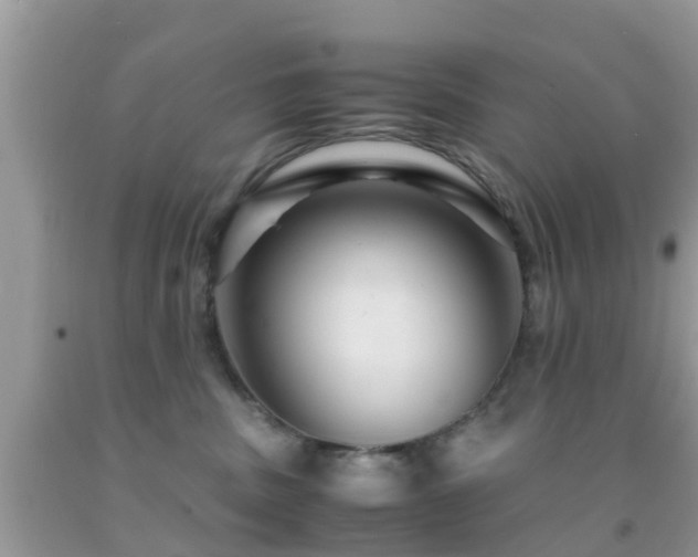 X0000091960379200709061306