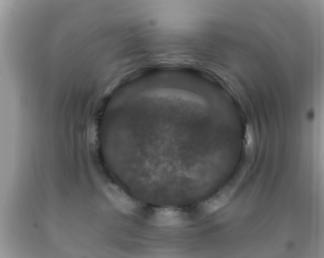 X0000091960380200709061306