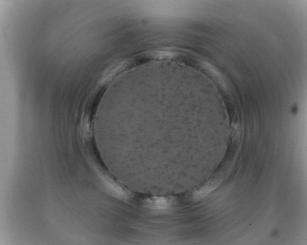 X0000091960381200709061306