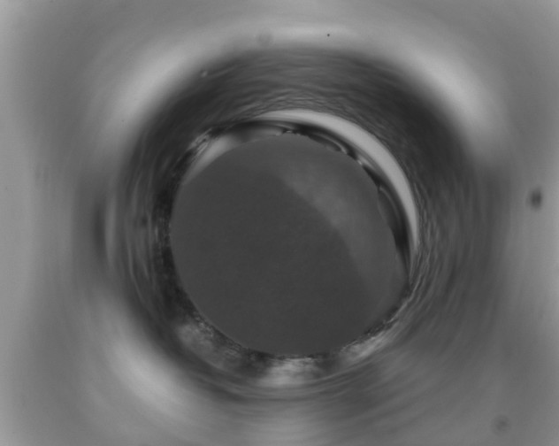 X0000091960382200709061306