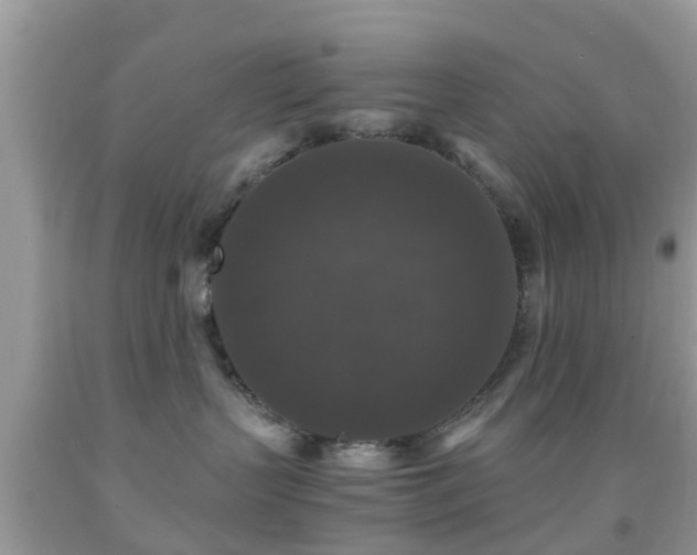 X0000091960383200709061306