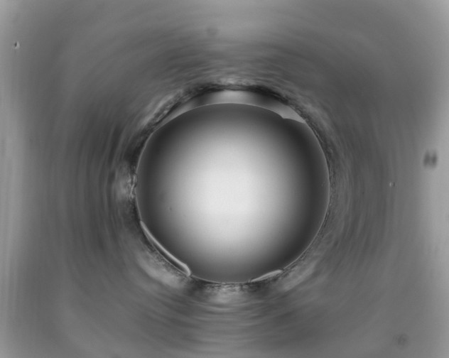 X0000091960384200709061306