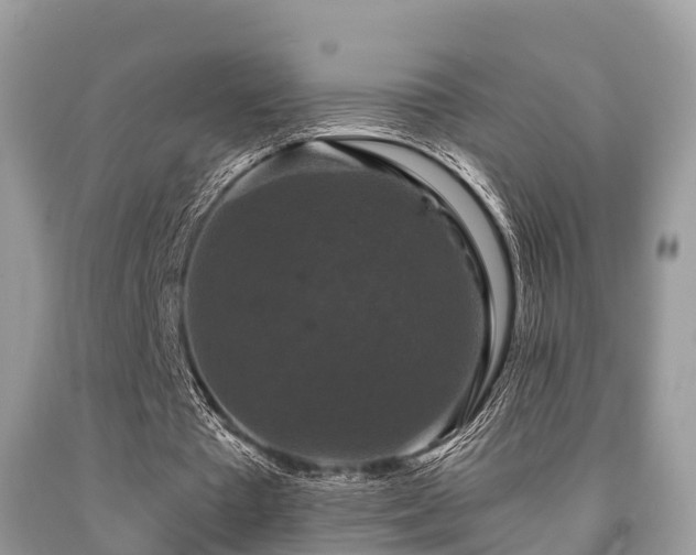 X0000091960385200709061306