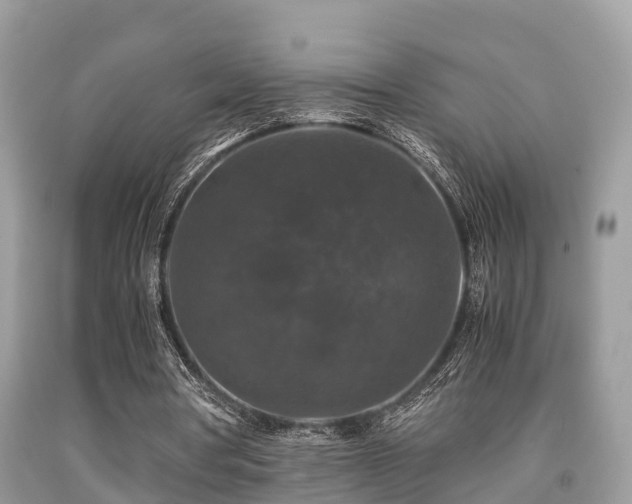 X0000091960386200709061306