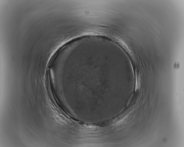 X0000091960387200709061306