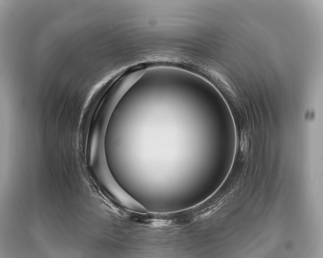 X0000091960388200709061306