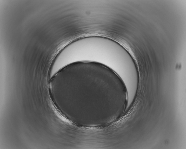 X0000091960389200709061306